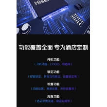 電視 海信 55H55E